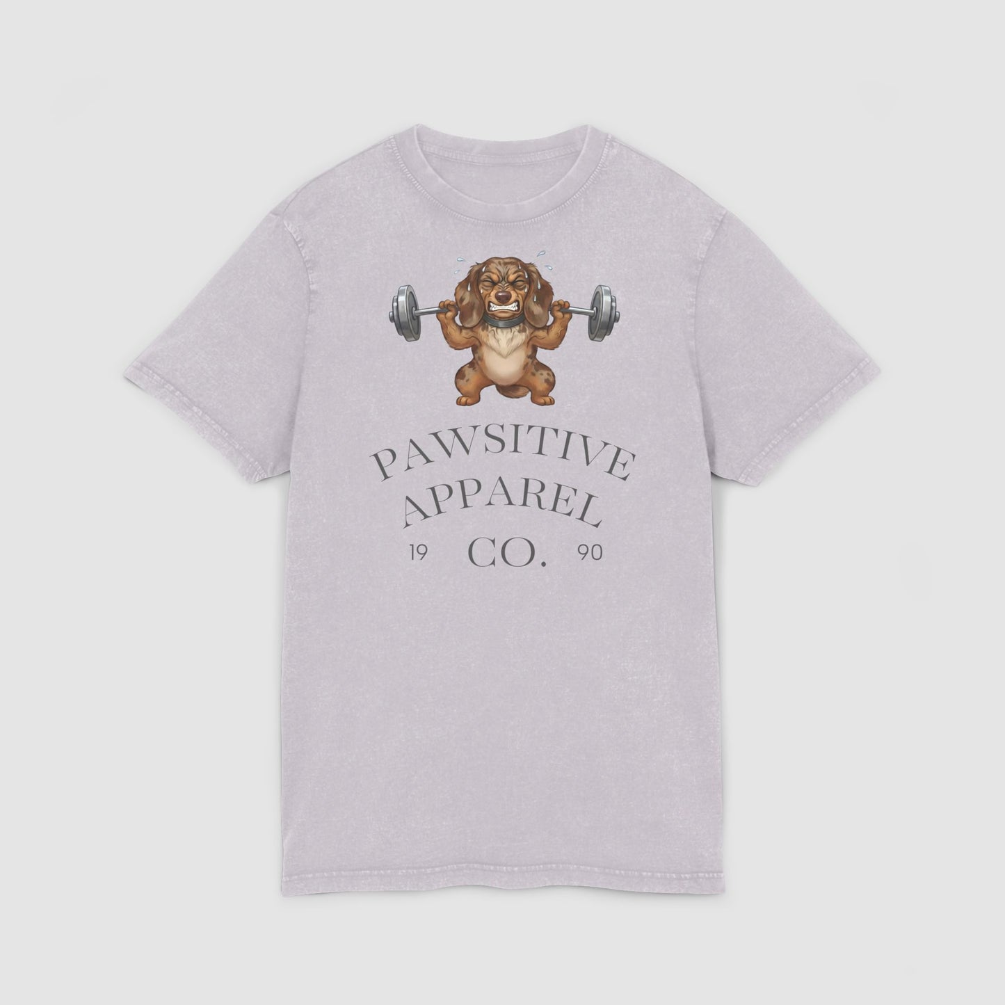 Pawsitive Apparel | Unisex Acid Wash T-Shirt
