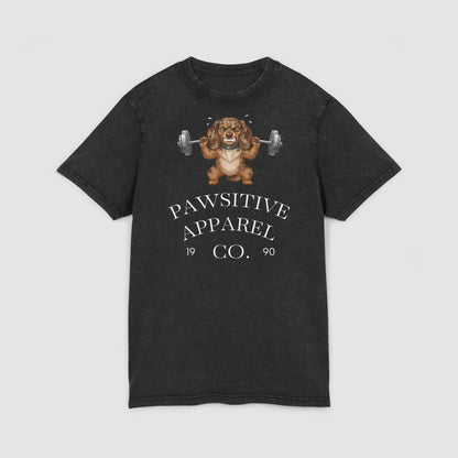 Pawsitive Apparel | Unisex Acid Wash T-Shirt