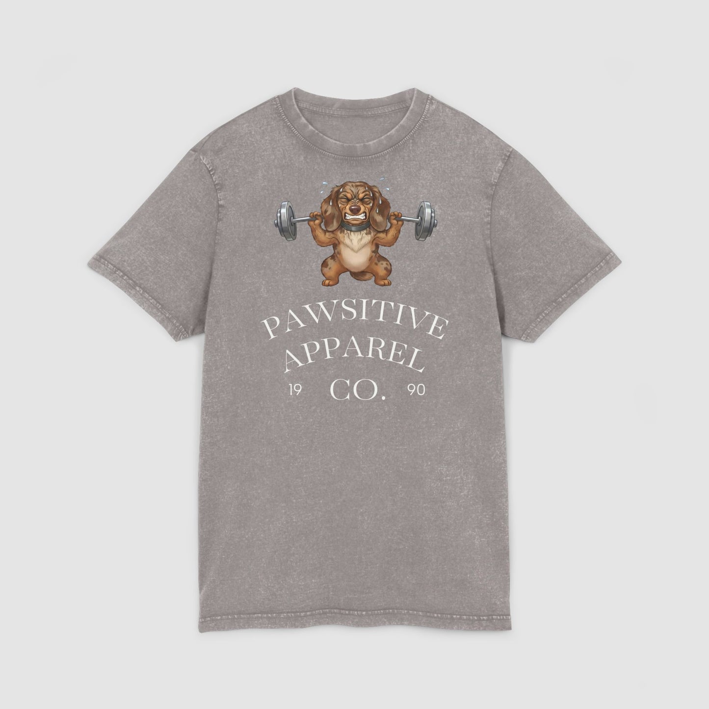 Pawsitive Apparel | Unisex Acid Wash T-Shirt