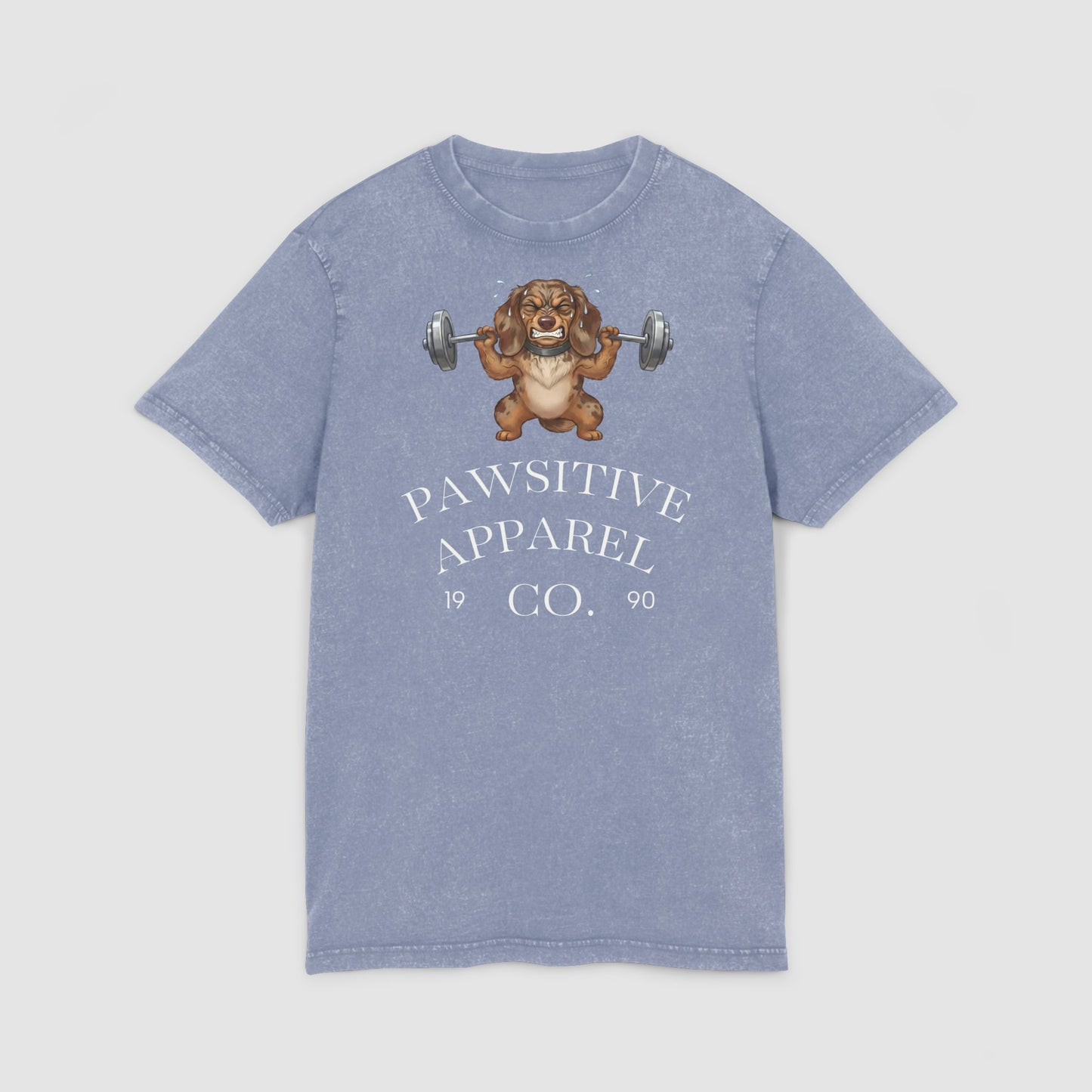 Pawsitive Apparel | Unisex Acid Wash T-Shirt