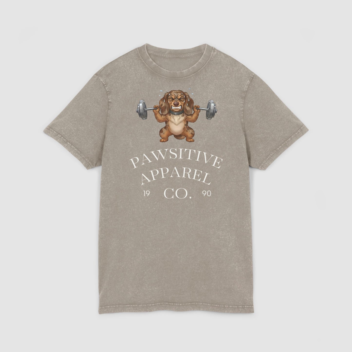 Pawsitive Apparel | Unisex Acid Wash T-Shirt