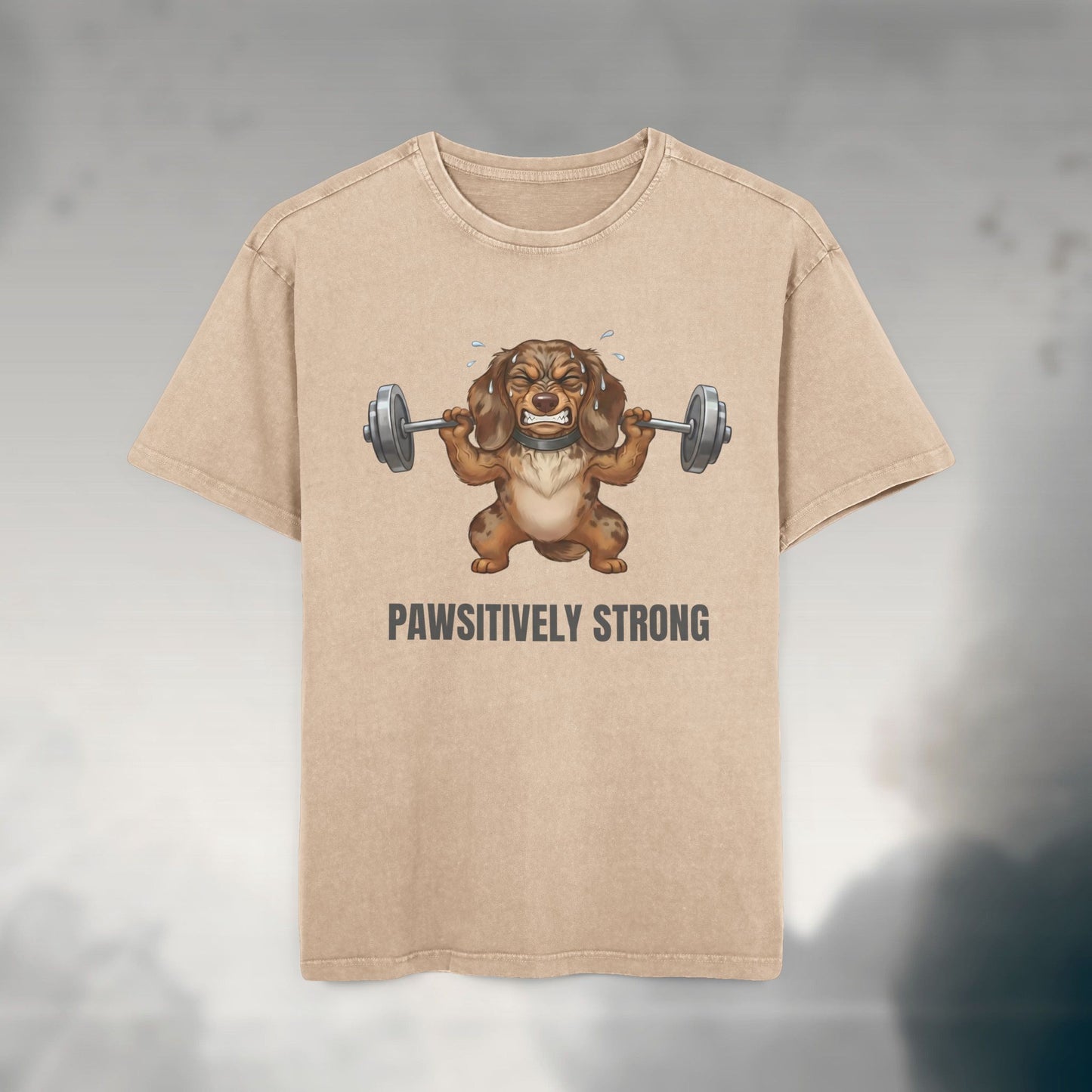 Pawsitively Strong | Oversized Unisex Acid Wash T-Shirt