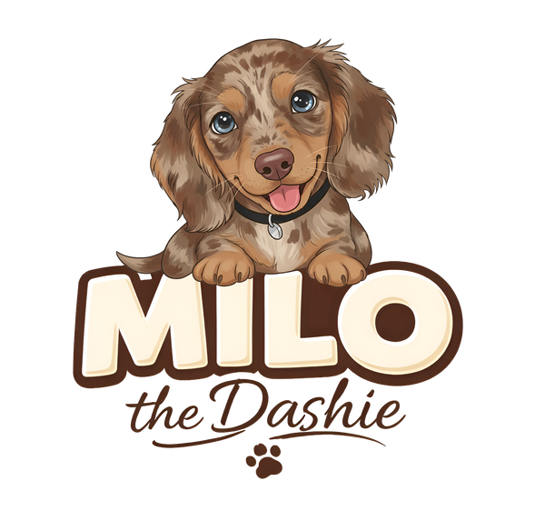 Milo The Dashie